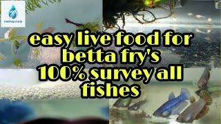 free best live food for betta frys 100 save all frys tamil [upl. by Lohse]