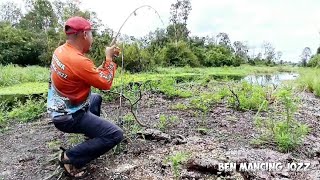 UMPAN DAGING AYAM DI SPOT INI LAKU KERAS  BIKIN JORAN MELENGKUNG TAJAM [upl. by Nohtahoj]