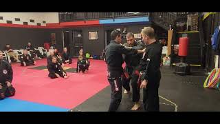 Jamie Seabrook Seminar  Kenpo Karate Technique Parting Wings [upl. by Brine449]