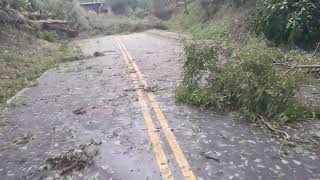 hurricane damage In AbbevilleSC video2south main up to north main [upl. by Lovel183]