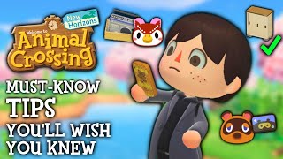 10 Tips I WISH I Knew Sooner in Animal Crossing New Horizons [upl. by Brenden]