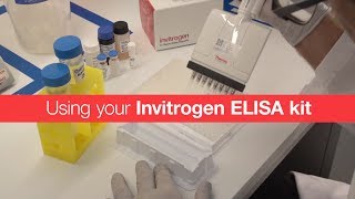 Using your Invitrogen ELISA kit [upl. by Rog]