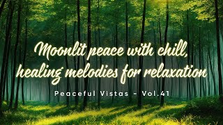 Escape  Moonlit peace with chill healing melodies for relaxation  Vol41 [upl. by Harshman]