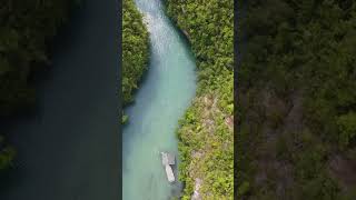 Bojo River  Aloguinsan  Cebu  Philippines  Drone Footage Flying over Bojo River bojoriver [upl. by Manson]