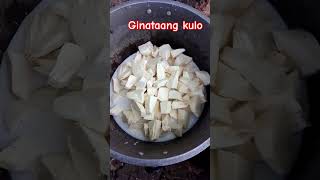 Ginataang kulo or breadfruit with coconut milk amp sugar 😋😋 so yummy musttry fyp breadfruitrecipe [upl. by Crary]