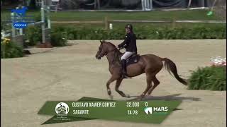 Sagante 6yr olds Upperville 2024 [upl. by Anuahsat785]