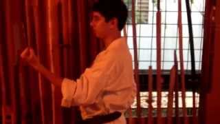 Major stances of Okinawan karate the Seisan dachi [upl. by Gehlbach]