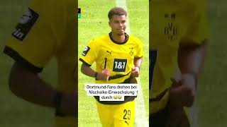 DortmundFans feiern NischalkeEinwechslung 😂👀 [upl. by Hgiellek823]