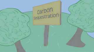 Carbon Sequestration 101 [upl. by Randolph917]