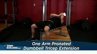 One Arm Pronated Dumbbell Triceps Extension Exercise Videos amp Guides Bodybuilding com [upl. by Siradal]