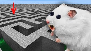 Hamster Escapes the Impossible Minecraft Maze [upl. by Noired]