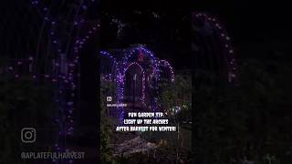 Enjoy the garden arches all year decorate with solar lights after harvest garden decoration [upl. by Nerrad]