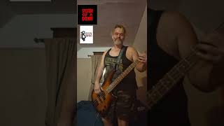 SYSTEM OF A DOWN PSYCHO  BASS COVER  759 soad bassscover [upl. by Alicirp592]