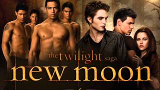 New Moon by Stephenie Meyer  Audio Book Summary [upl. by Mayram]