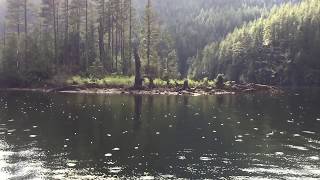 20170512 Buntzen lake slow mo [upl. by Baptista]