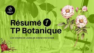 résumé TP botanique partie 1 [upl. by Aivat]