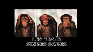 LES TROIS SINGES SAGES [upl. by Adekam]