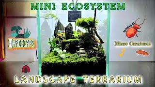 Terrarium  Nano Landscape Ecosystem 🌍 🌱 🐜 🐌 🐞  terrarium hardscapedesign ecosystem [upl. by Etna]