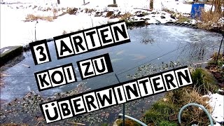 3 Arten Koi zu überwintern [upl. by Ylrebmi]