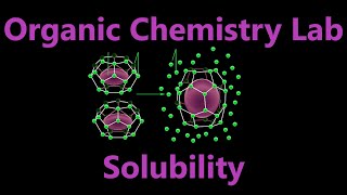 Solubility and Solutions  Organic Chemistry Lab Techniques [upl. by Iphigenia]