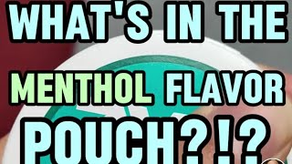 Whats in the Menthol Pouch by Mass Spec Everything on GCMS [upl. by Aloisia]