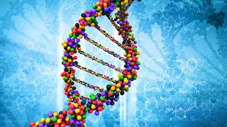 Role of DNA in Protein Synthesis [upl. by Suriaj]