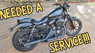 NEEDED A SERVICE Harley Davidson Iron 883 [upl. by Lesna]