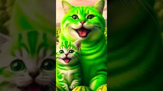 Green Watermelon Cat shorts watermeloncat ytshorts youtubeshorts [upl. by Enaz]