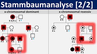 Stammbaumanalyse 22  gonosomal dominante und rezessive Erbgänge Biologie Genetik Oberstufe [upl. by Anwahsak]