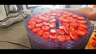 Homemade Dried Tomatoes Cabelas Dehydrator gardentotable [upl. by Zebapda]