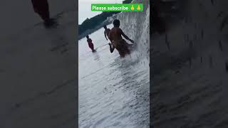 🐬🐬Garaiya machhari shortvideo reelsvideo sachinofficial785 🐬🐬🐬 [upl. by Loats]