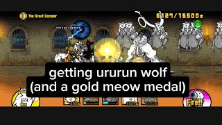 getting ururun wolf  battle cats [upl. by Ennaitak145]