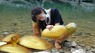 Uncover the mystery of treasure The girl discovered a giant golden clam with charming pearls inside [upl. by Thgirw908]