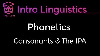 Introduction to Articulatory Phonetics Consonants [upl. by Hooper]