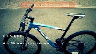 Giant Anthem X4 29er 2013 [upl. by Inar]