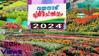 2024 flower show Wayanad [upl. by Medin269]