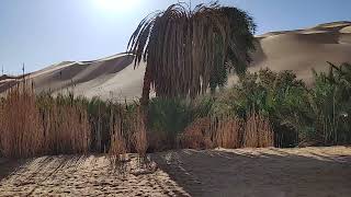 The Oasis of Lake Gaberoun  Southwest Libya Fezzan Region 90 Kilometers to the west of Sabha City [upl. by Yenetruoc9]