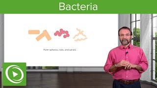 Bacteria Structure amp Types – Microbiology  Lecturio [upl. by Htebzile]