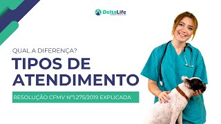 Tipos de Atendimento Veterinário Ambulatório Consultórios Clínica e Hospital Explicados [upl. by Leah]