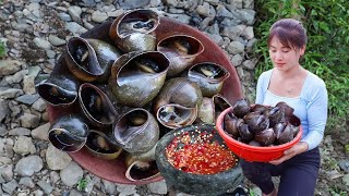 Harvesting Many Snails in the Field Goes To Market Sell Cooking Snail  Nhất New Life [upl. by Yellhsa21]