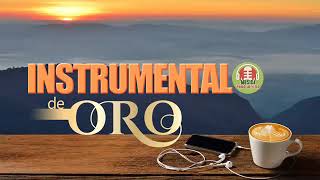 Musica Instrumental de Oro Para Escuchar Grandes Hits Instrumentales [upl. by Karmen]