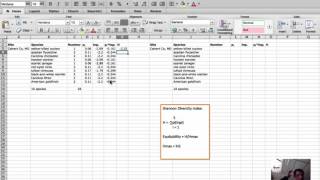 Diversity Calculation  Shannon diversity index and equitability in Excel [upl. by Darrill]