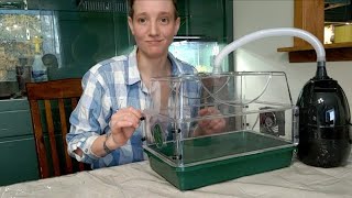 Building a small mushroom fruiting chamber [upl. by Dosia746]