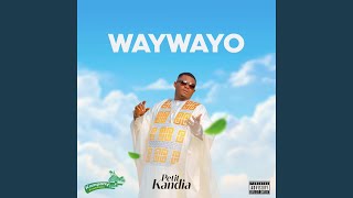 Way Wayo Remix  Petit Kandia [upl. by Zahc]