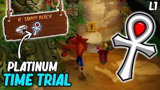 N SANITY BEACH  Platinum Time Trial  CRASH BANDOOT 1 NSANE TRILOGY  LEVEL 1 [upl. by Baseler]