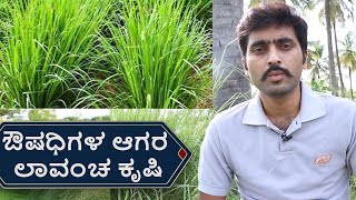 Vetiver Farming amp Cultivation  Part1  Vijay Karnataka [upl. by Letitia819]