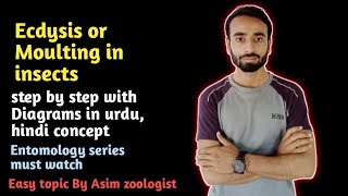 Ecdysis or Moulting in insects  Entomology  zoology  short notes step by step in urdu hindi [upl. by Ogdon]