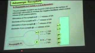 DrMohsen  ANS 8  sympathomimetics  Part 1 [upl. by Aromas802]