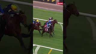 Stylish Secret wins Penfolds Victoria Derby Preview horseracing horses racng shorts flemington [upl. by Noicpesnoc]