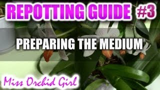 Complete guide to repotting Orchids Part 3  Preparing Orchid soilmedium [upl. by Theadora91]